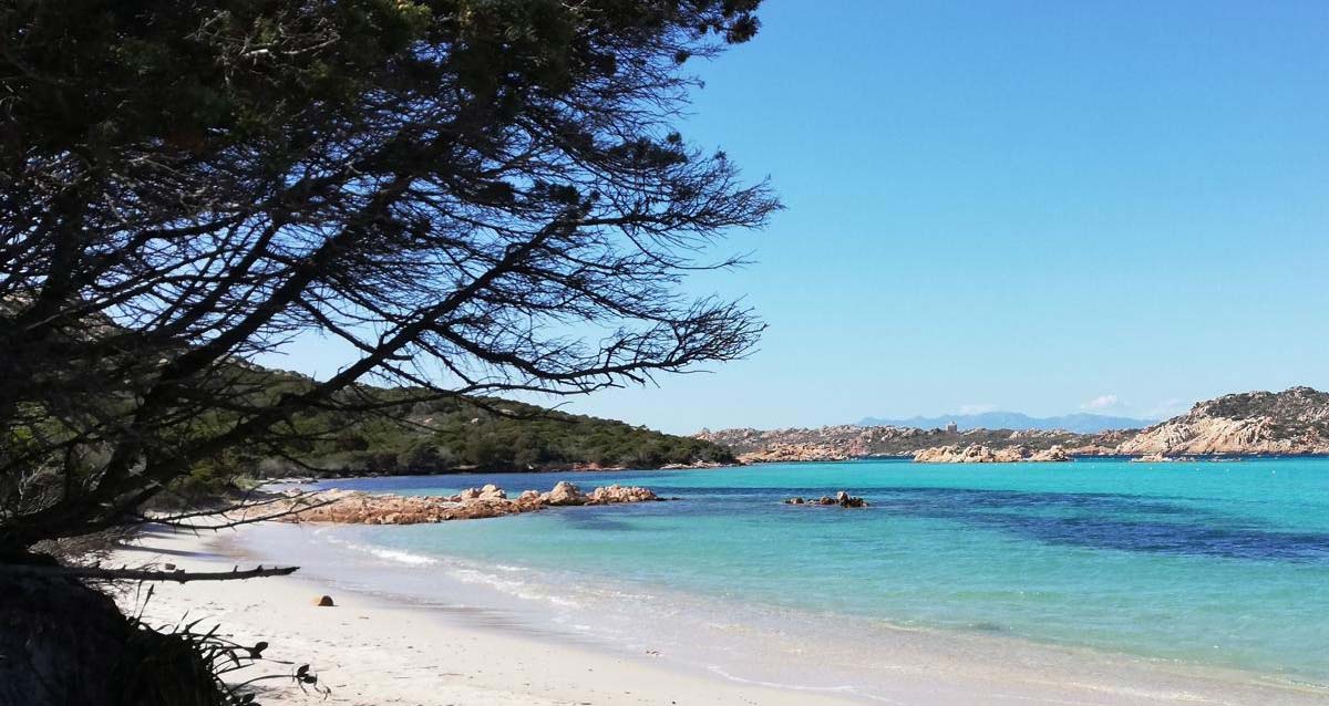Vacanza in barca a vela per principianti: tutto quello che devi sapere